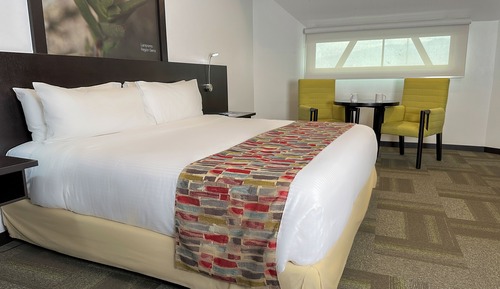 Habitación, 1 cama de matrimonio grande, accesible para personas con discapacidad, no fumadores