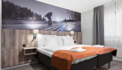 Habitación Deluxe con 1 cama doble o 2 individuales
