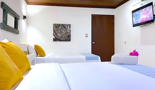 Apartamento Deluxe, baño privado, vistas al patio (APARTMENT 1)