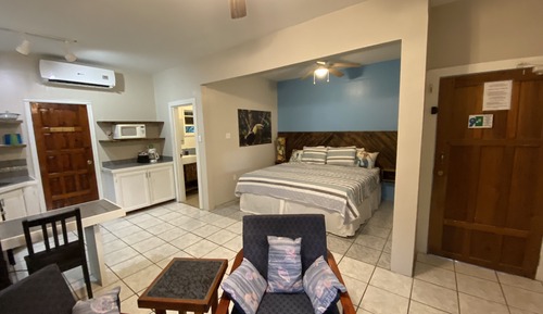 Suite estudio Deluxe, 1 cama de matrimonio grande, cocina básica, vistas al jardín
