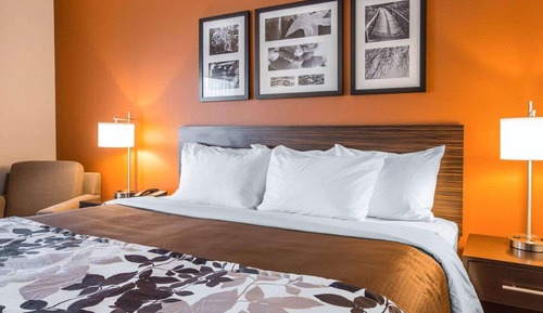 Habitación estándar, 1 cama de matrimonio grande, no fumadores
