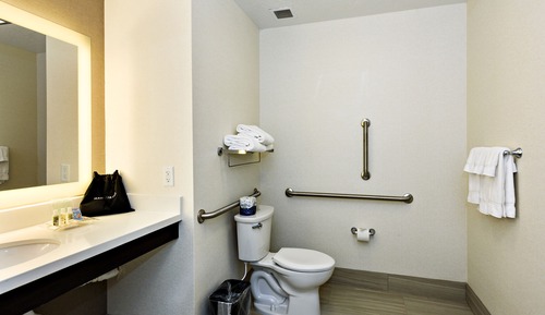 Habitación estándar, accesible para personas con discapacidad (Mobility Tub)