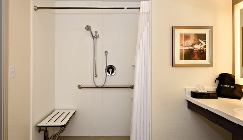 Habitación estándar, 1 cama de matrimonio grande (Hearing, Roll-In Shower)