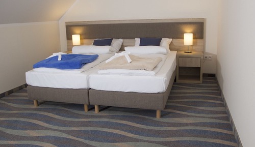 Habitación estándar con 1 cama doble o 2 individuales
