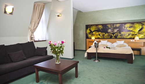 Habitación Deluxe