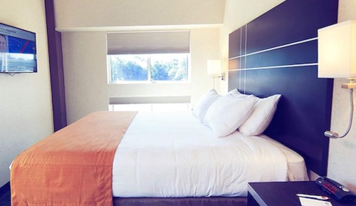 Habitación estándar, 1 cama de matrimonio grande