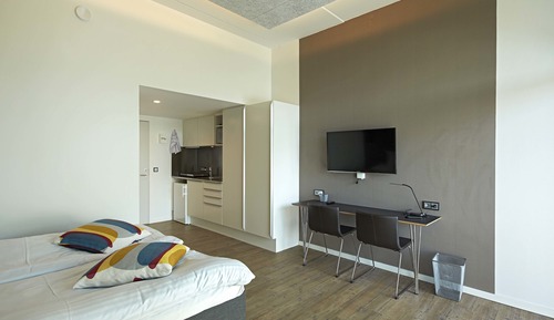 Suite estudio (XL)