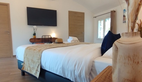 Suite, 1 habitación