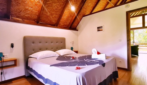 Bungalow Deluxe, 1 habitación, frigorífico y microondas, vistas al parque