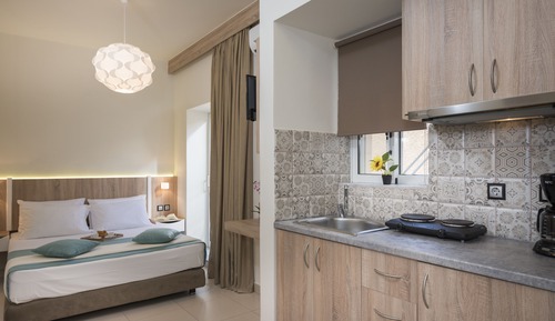 Estudio básico, 1 cama doble