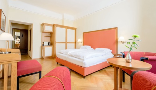 Habitación estándar doble, vistas al parque