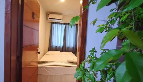 Suite estándar