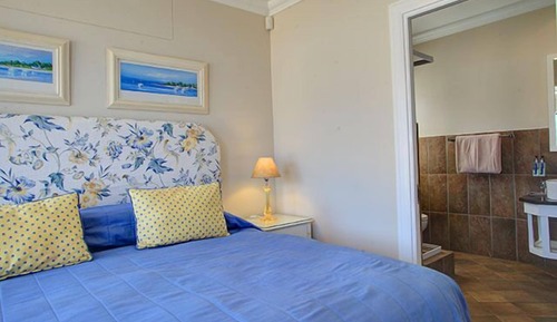 Whale Suite 