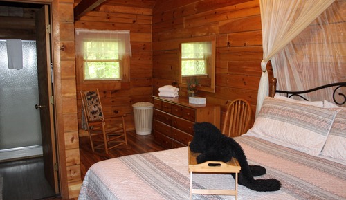 Cabaña Deluxe, 1 cama de matrimonio grande, bañera de hidromasaje