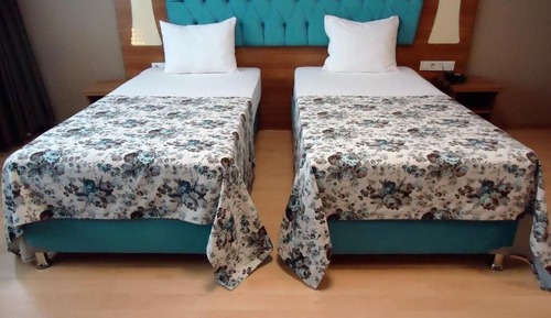 Habitación Deluxe con 2 camas individuales