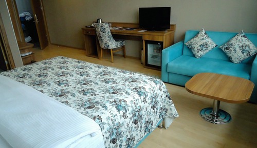 Habitación individual estándar, 1 habitación, vistas a la colina