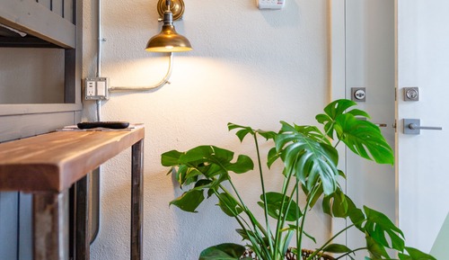 Habitación junior, varias camas