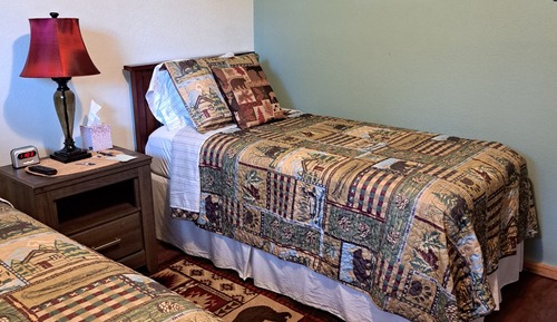 Habitación Confort (Twin Beds)
