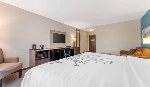 Suite, 1 cama de matrimonio grande con sofá cama, no fumadores