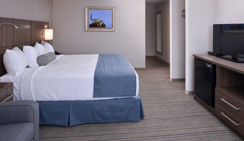Habitación, 1 cama de matrimonio grande con sofá cama, accesible para personas con discapacidad