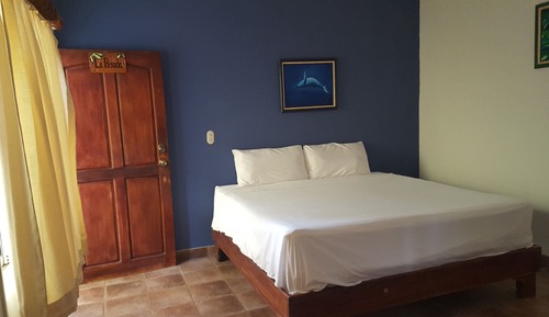 Jungle Suite