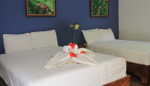 Monkey Room
