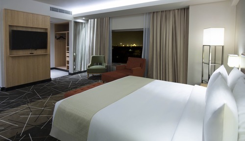 Suite, 1 cama de matrimonio grande