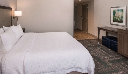 Habitación, 1 cama de matrimonio grande, accesible para personas con discapacidad (Roll In Shower)