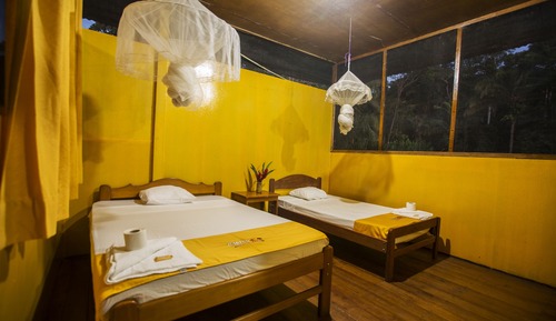 Habitación estándar con 2 camas individuales