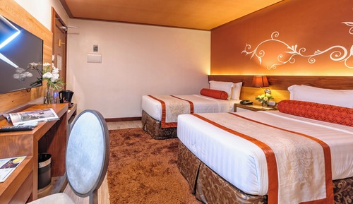 Habitación superior con 2 camas individuales (Deluxe)