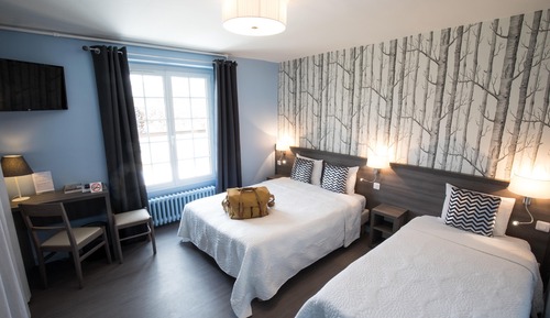 Habitación Confort (Twin or Double )
