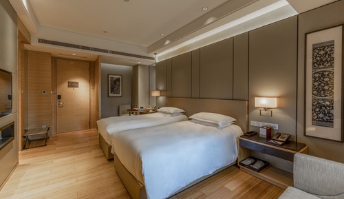 Habitación ejecutiva con 2 camas individuales