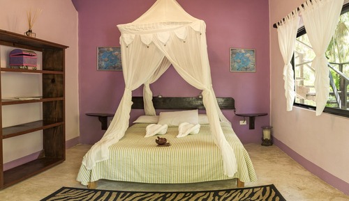Coral Garden Room