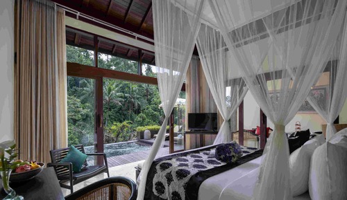 Habitación (Jungle Pool View)