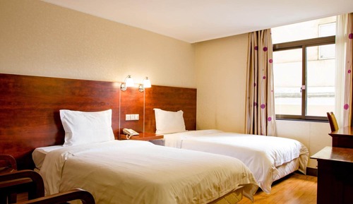 Habitación Deluxe con 2 camas individuales