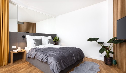 Suite estudio superior