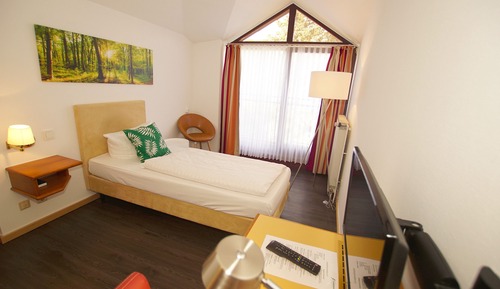 Habitación individual clásica