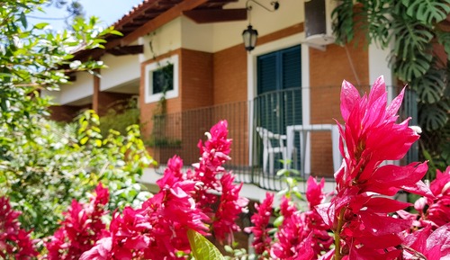 Habitación estándar
