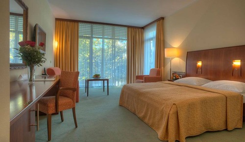 Suite junior, balcón, vistas al jardín