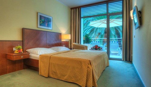 Habitación doble, balcón, vistas al jardín