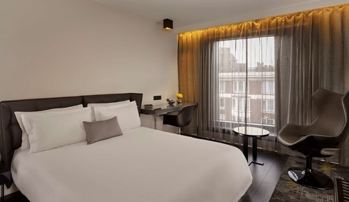 Habitación ejecutiva, 1 cama doble
