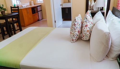 Estudio junior, 1 cama de matrimonio, vistas al jardín