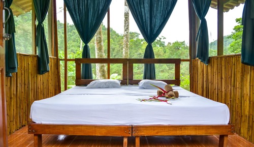 River View Standard Bungalow