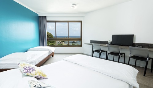 Habitación estándar, vistas al mar