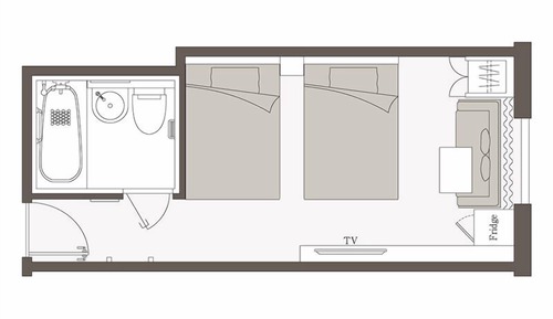 Habitación estándar, fumadores (2 beds)