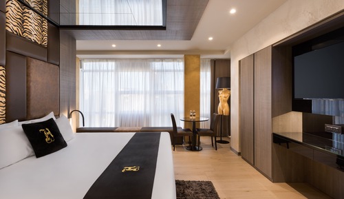 Elegant Room, Balcony