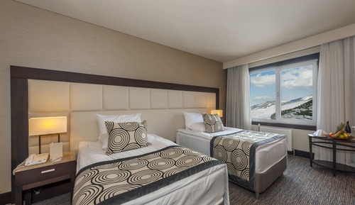 Habitación estándar con 1 cama doble o 2 individuales