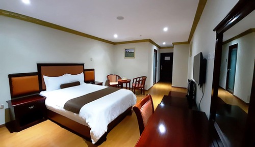 Habitación individual estándar, 1 cama individual