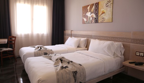 Habitación estándar con 2 camas individuales