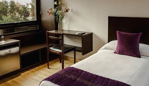 Habitación Deluxe con 1 cama doble o 2 individuales